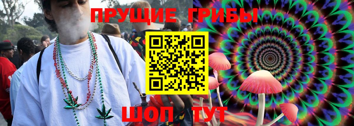 Псилоцибиновые грибы Psilocybe  Вход с VPN  Кстово 